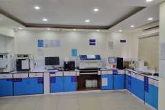 img12 img12