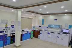 img4 img4